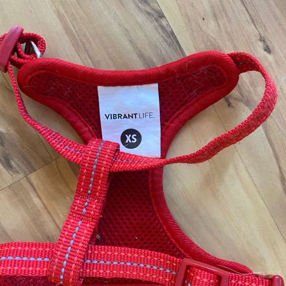 Treat your little fur ball size XS - Picture 13 of 16